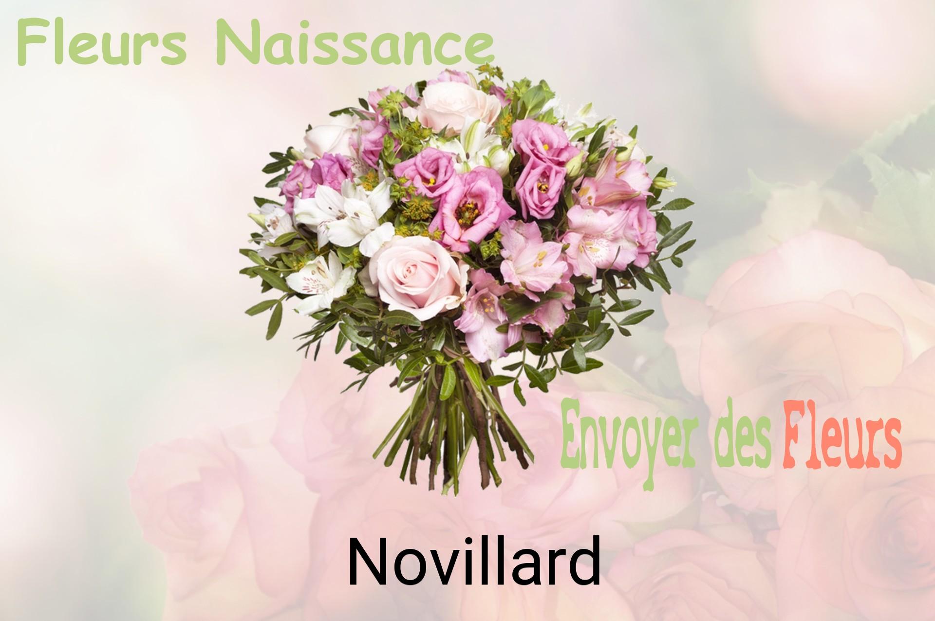 Bouquet de fleurs de naissance livré à Novillard